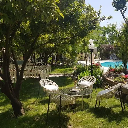 Green Valley Boutique & Spa Restourant מלון 4*